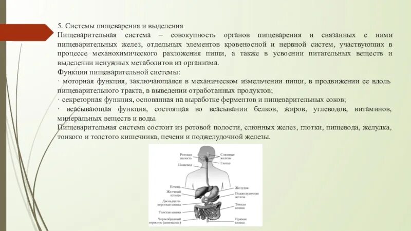 Система пищеварения и выделения. Анатомо морфологическая характеристика печени. Совокупность органов связанных общей функцией. Анатомо-морфологический метод.