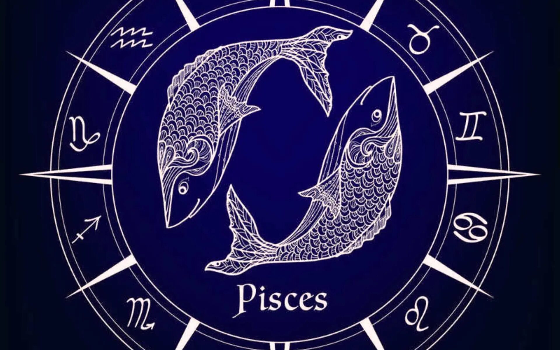 Знаки зодиака. Рыбы астрология. Знак рыбы. Изображение знака зодиака рыбы. Гороскоп рыбы на завтра 2024 год