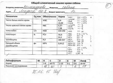 Что входит в состав анализов