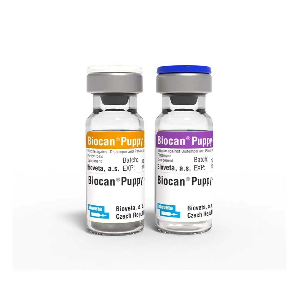 Отзывы о вакцинах для собак. Биокан DHPPI. Биокан вакцина для собак. Биокан DHPPI+LR. Вакцина Биокан DHPPI+LR.