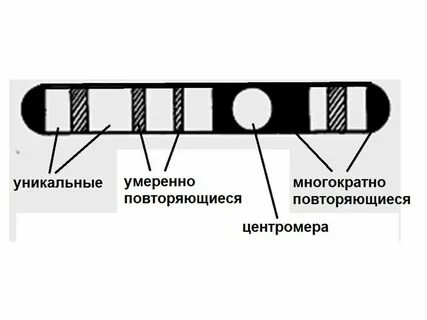 Повторяться порядок