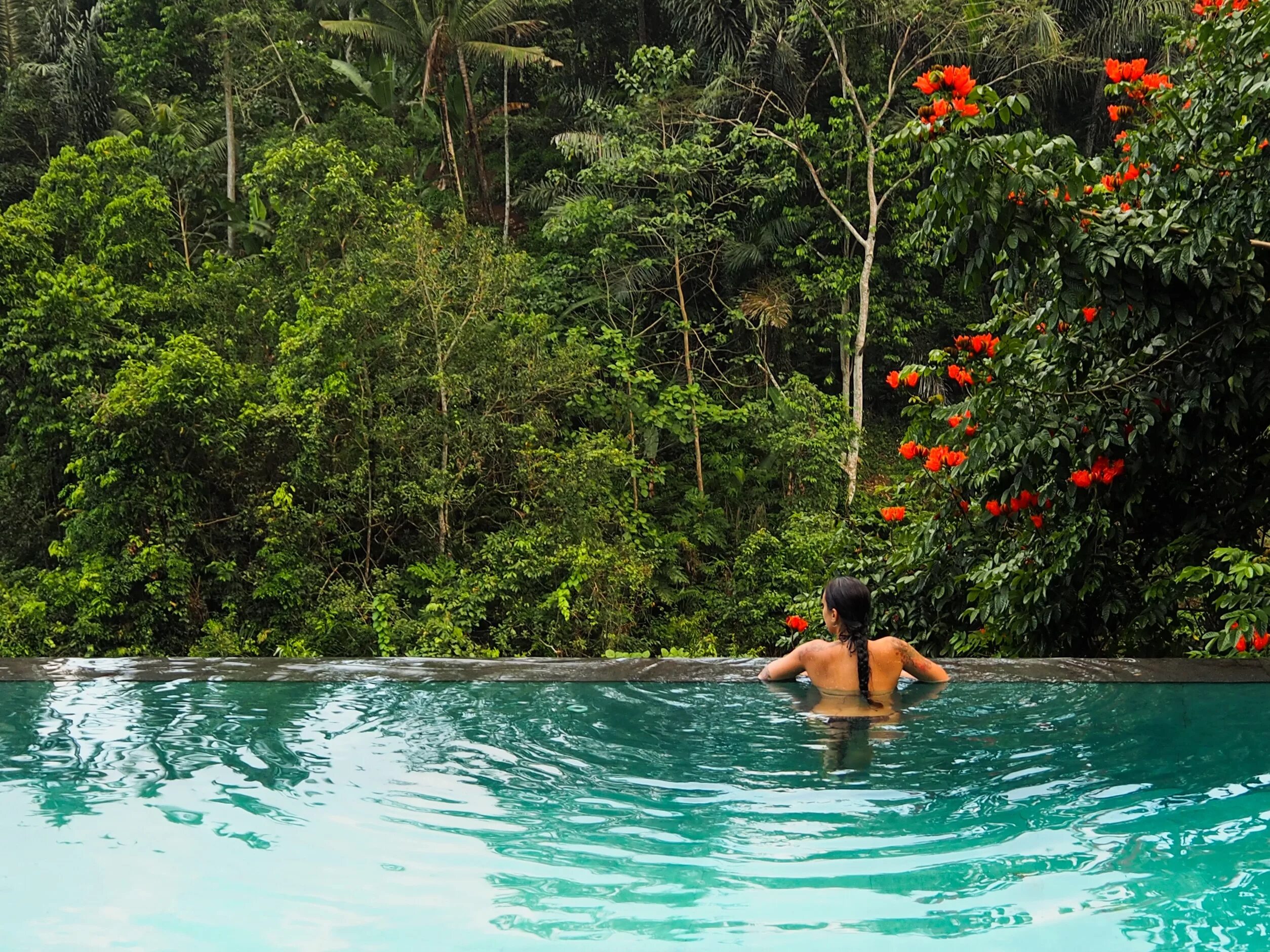 Жизнь на острове в джунглях. Бали Убуд бассейн. Artini Бали. Parq Ubud Бали. Убуд бассейн Инфинити.