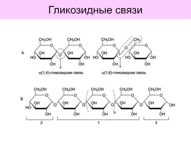 Связь 4 гликозидная. Альфа 1 4 гликозидные связи. Α-1,6-гликозидные связи. Альфа бета 1,6 гликозидная связь. Бета 1 3 гликозидная связь.