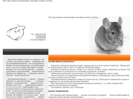 Чем кормить шиншиллу