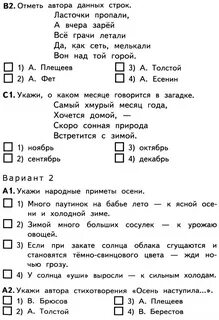 Тесты по чтению 9 класс 8 вид