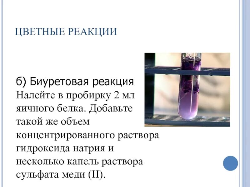 Сульфат свинца и гидроксид натрия. Цветные реакции белков биуретовая реакция. Цветные реакции на белки биуретовая реакция. Цветные реакции биуретовая реакция. Биуретовая реакция в пробирке.