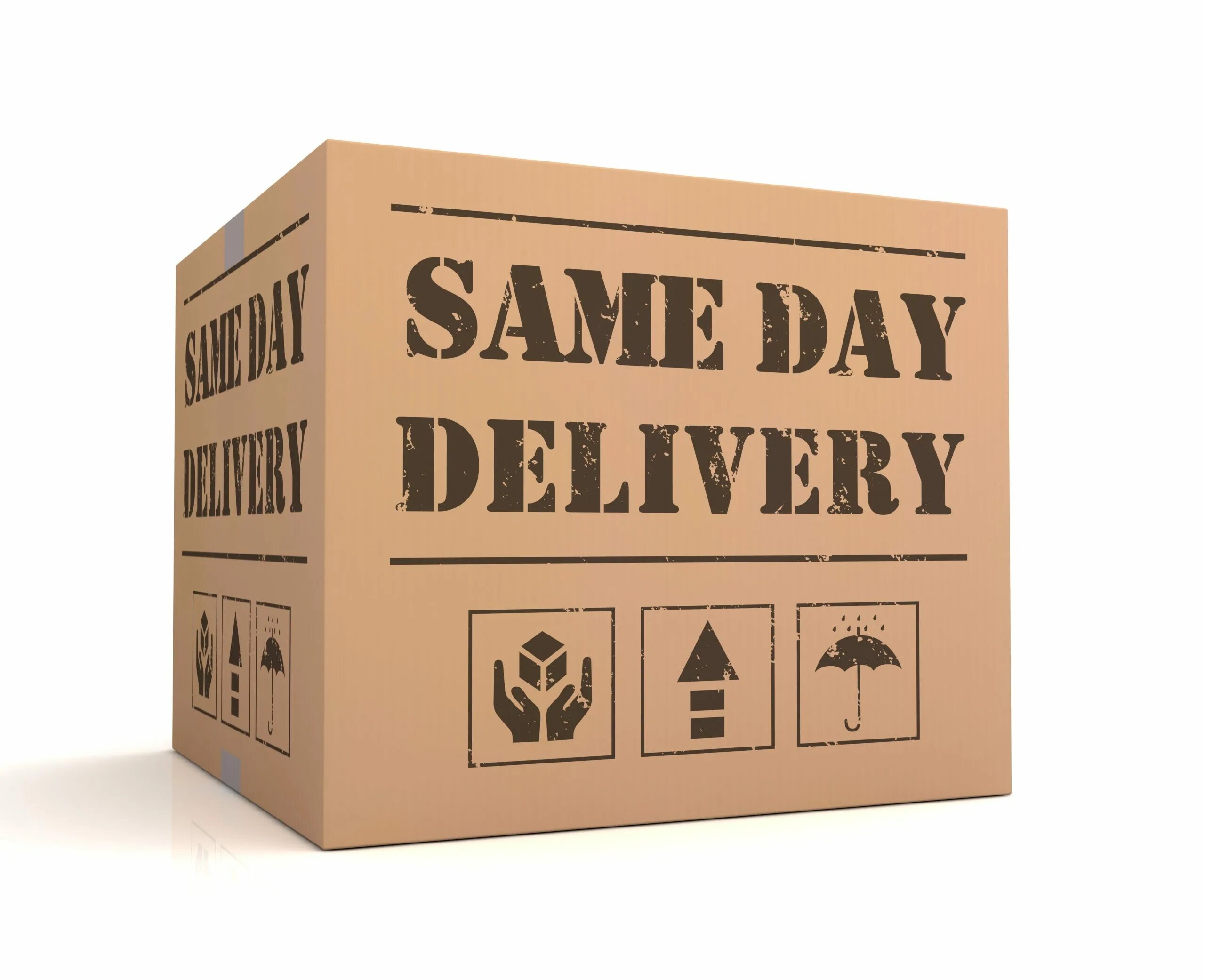 Everyday the same. Same-Day shipping. Delivery 3d illustration. Export Box. Send a Plant same Day delivery.
