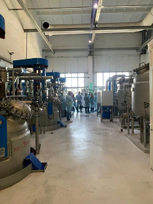 международный день коров.