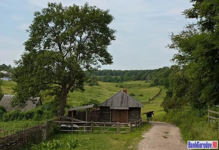 Яснополянские выселки тульская область. Деревня ясное. Деревня ясная поляна липецкая область. Ясная поляна сама деревня. Деревня черная нахабино.