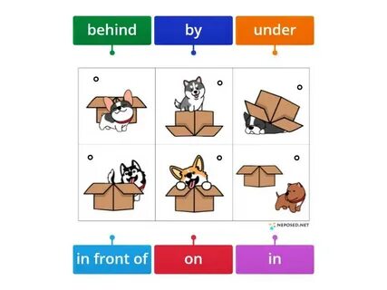 Wordwall net prepositions