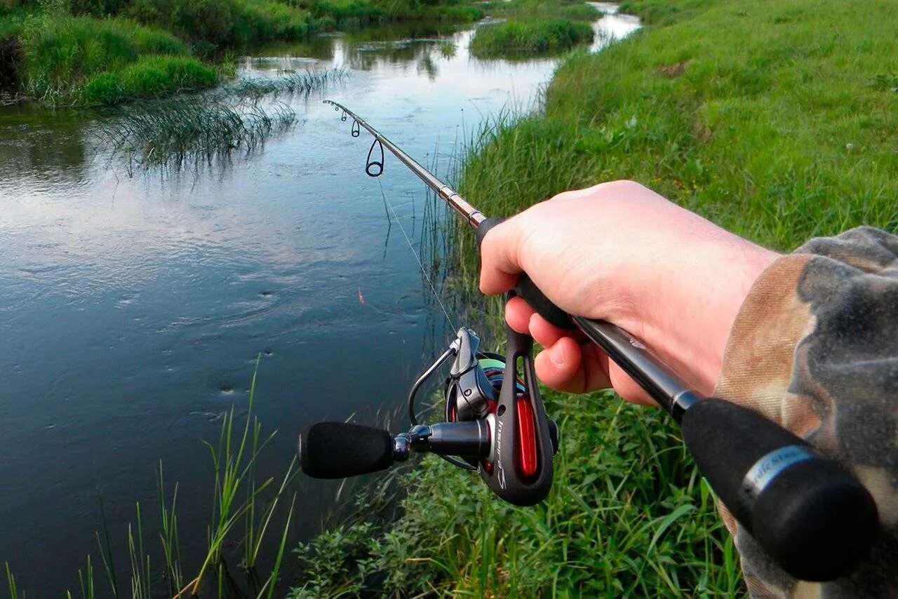 Удочка на щуку на живца оснастка поплавочная. Поплавочная живцовая снасть на щуку. Удочка на щуку на живца оснастка поплавочная. Живцовая удочка на щуку. Удочка для рыбалки летом.