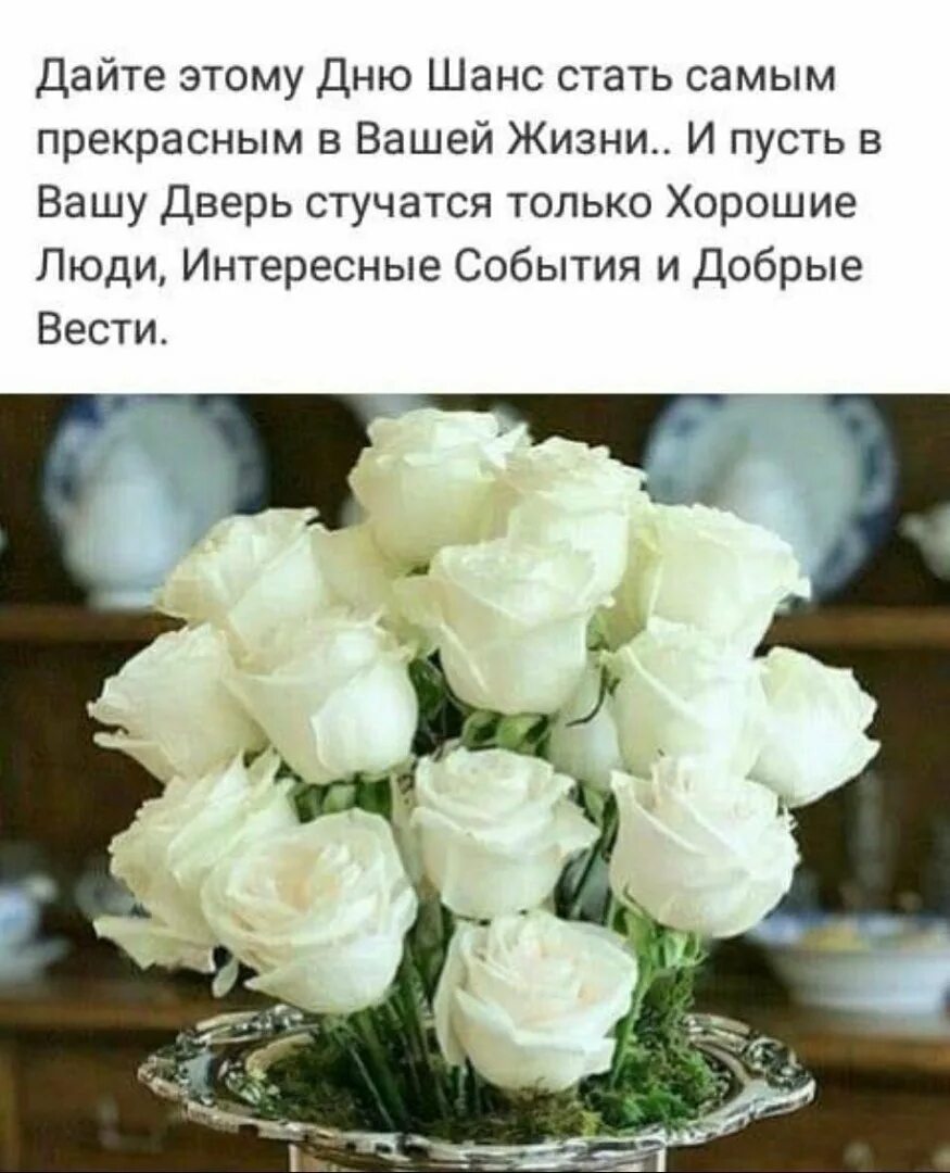 Пусть каждый ваш день будет наполнен радостью. Поздравления с днем рождения белые розы. Открытки с днем рождения белые розы. Открытки с добрым утром с белыми розами. Белые розы с пожеланиями.