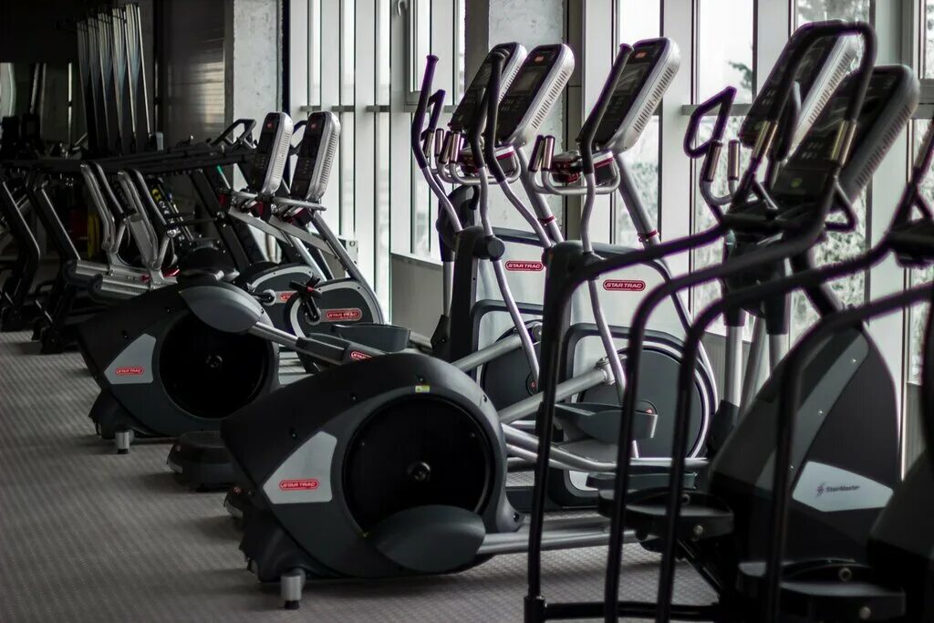 алекс фитнес ставрополь фото. алекс фитнес центр на транспортном переулке. фитнес клуб алекс ставрополь. Fresh fitness ставрополь доваторцев. абонемент фитнес ставрополь.