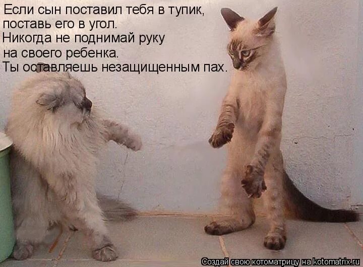 Никогда не поднимай