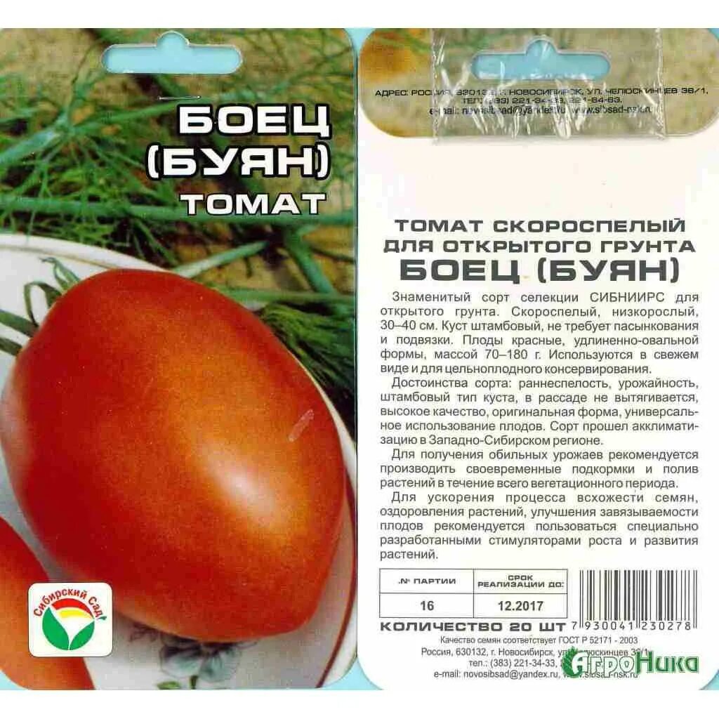 Томат боец фото описание