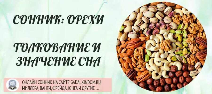 Грецкий орех во сне к чему снится