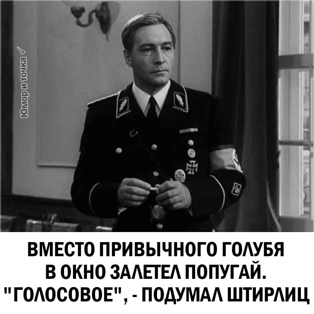 Штирлиц дуло исчезло. Константин желдин холтоф. желдин в 17 мгновений весны. семнадцать мгновений весны фильм 1973 штирлиц.
