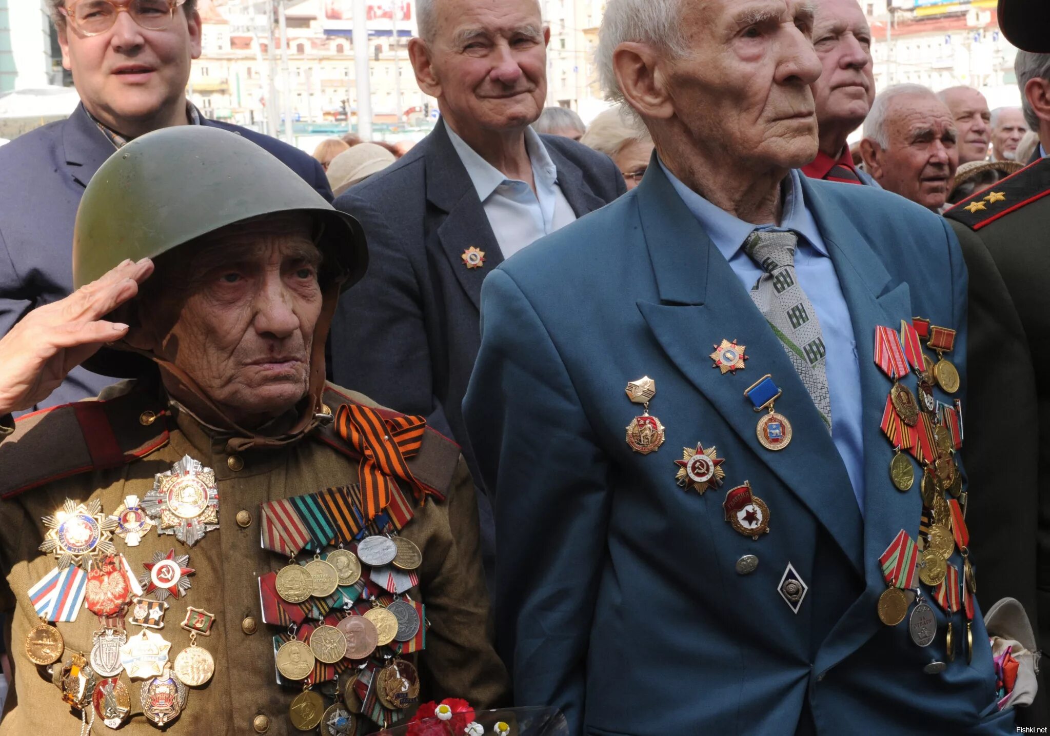 Сколько живых ветеранов великой отечественной