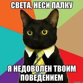 Света смешные картинки