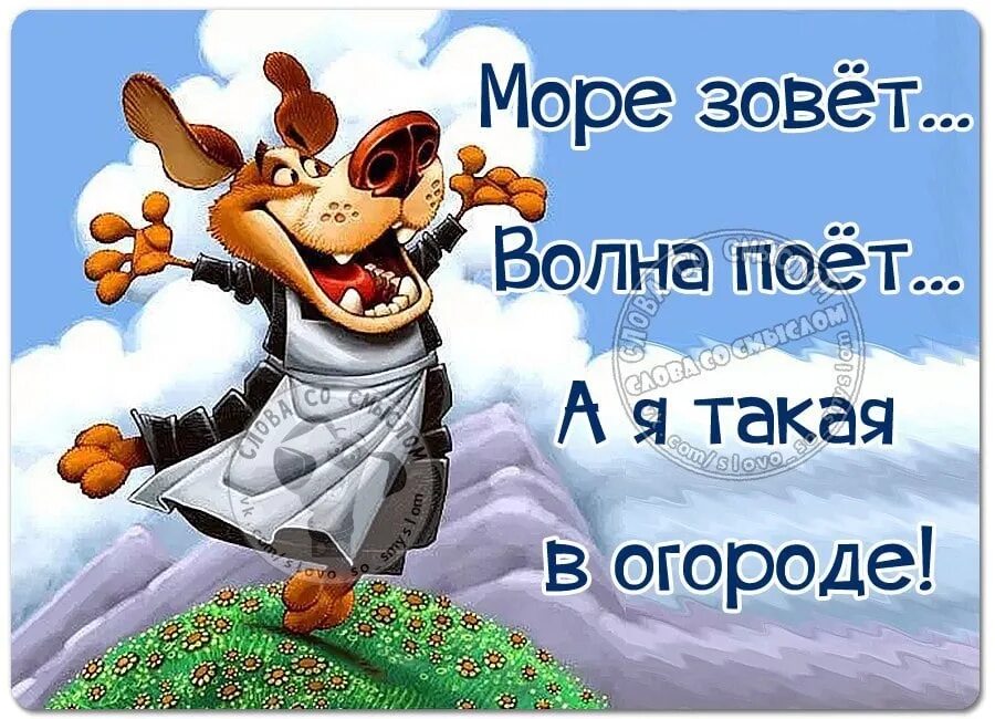 Суббота отпуск. Доброе утро! С прикольным огородом. Открытки я в отпуске на даче. Смешные картинки про огород. Доброе утро огород.