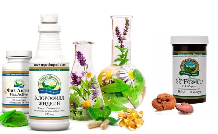 БАДЫ фирмы natures Sunshine. Американские БАДЫ НСП. Продукция компании NSP. Биологические добавки фирмы NSP. Фирма natures