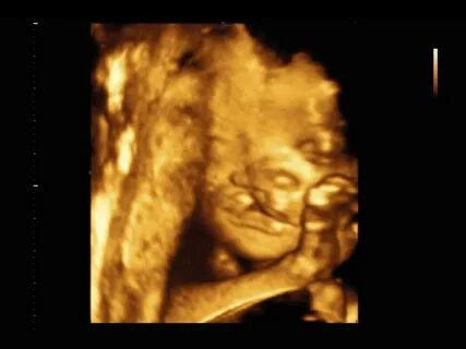 Сексуалды сұлулардың порнофотосуреттері