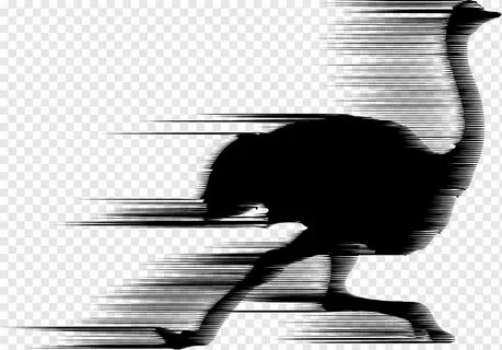 Силуэты speed up