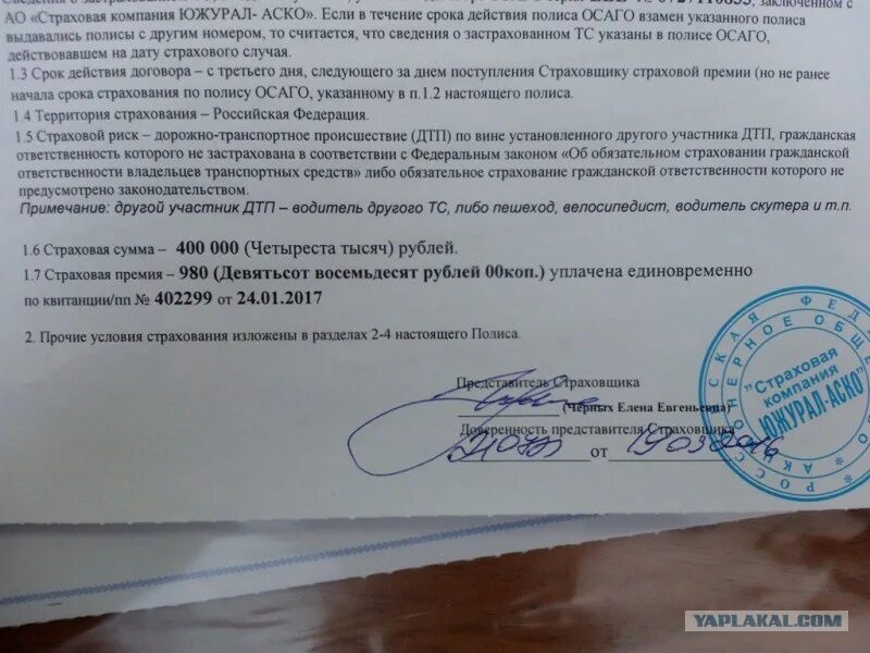 У участников дтп нет осаго. У участников дтп нет осаго
