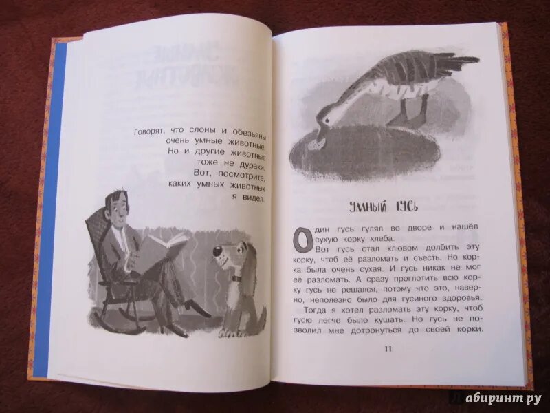 Умные животные зощенко аннотация. Зощенко умный гусь. рассказ михаила зощенко умный гусь. умные животные рассказ. зощенко рассказ гусь умный иллюстрации.