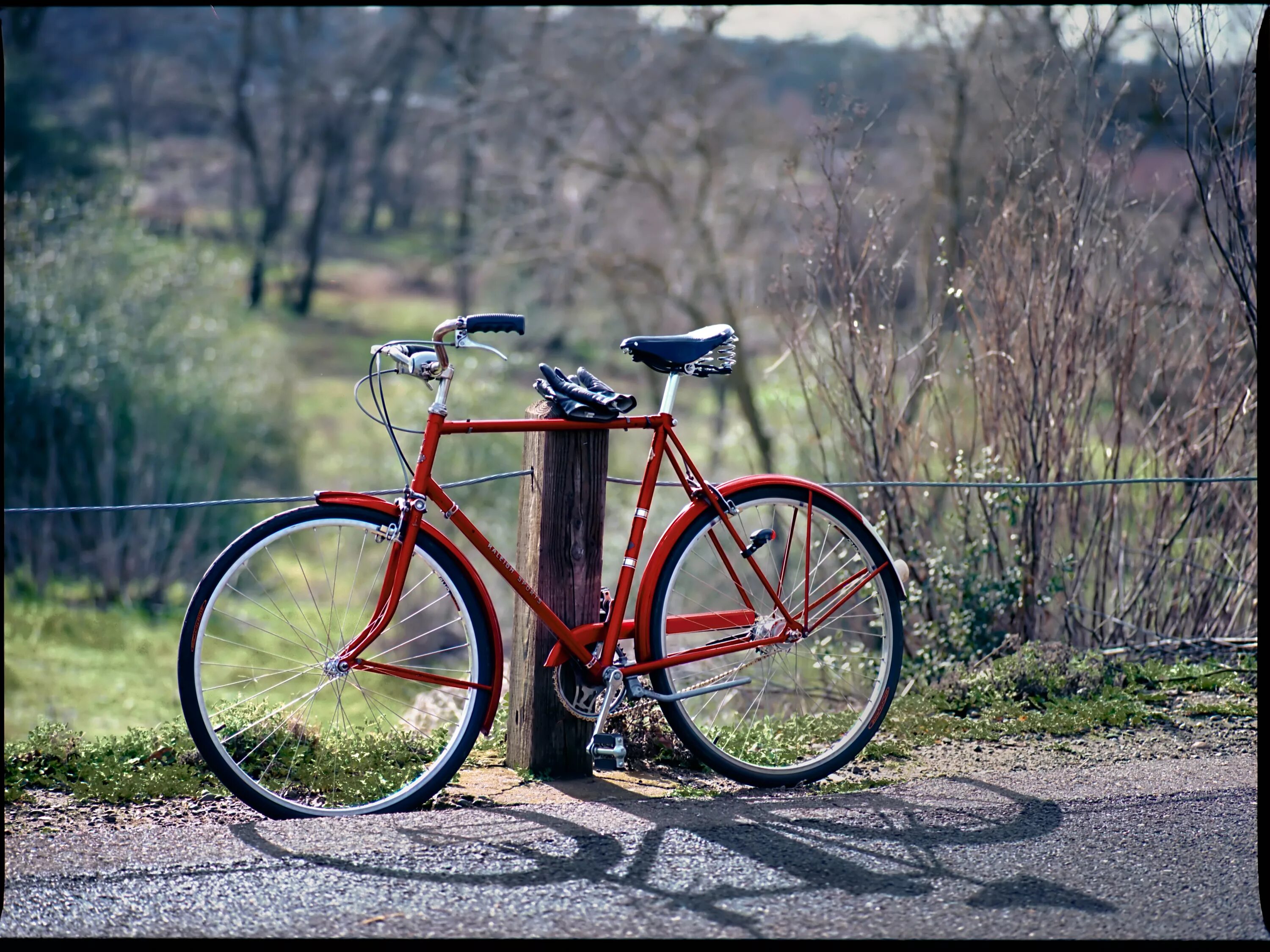 My new bicycle. Красивые велосипеды. Дорожный велосипед. Велосипеды в Америке. Самые красивые велосипеды.