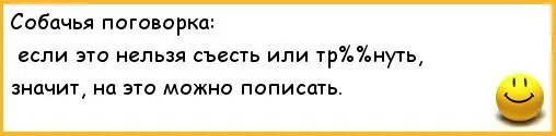 Что значит пописать. Если это нельзя съесть значит можно. Собаки что нельзя съесть анекдот.