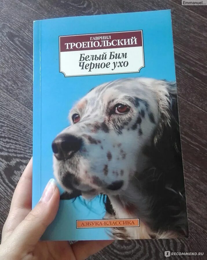 Читать книги бим черное ухо. Белый Бим черное ухо. Белый Бим книга. Белый Бим черное ухо книга. Азбука классика белый Бим черное ухо.