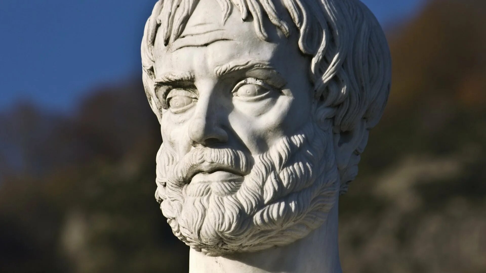 Аристотель философ. Аристотель портрет. Аристотель статуя. Аристотель античный бюст.