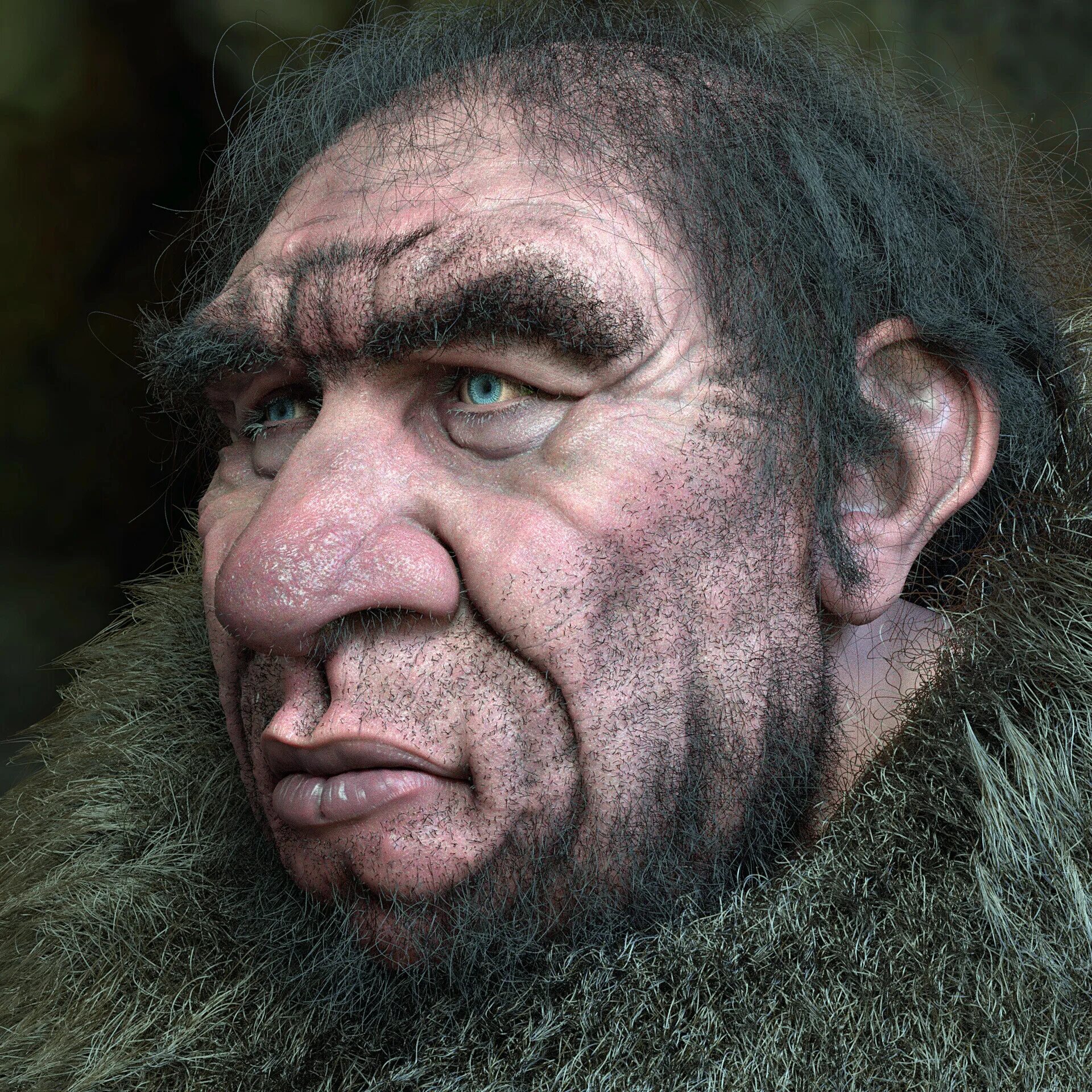 Homo neanderthalensis. Хомо сапиенс денисовский человек неандерталец. Неандерталец (homo neanderthalensis). Homo neanderthalensis реконструкция. Хомо сапиенс денисовский человек неандерталец.