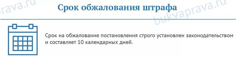 Обжаловать штраф ГИБДД образец. Штраф ГИБДД образец. Пример обжалования штрафа ГИБДД С камеры. Образец штрафного постановления ГИБДД.