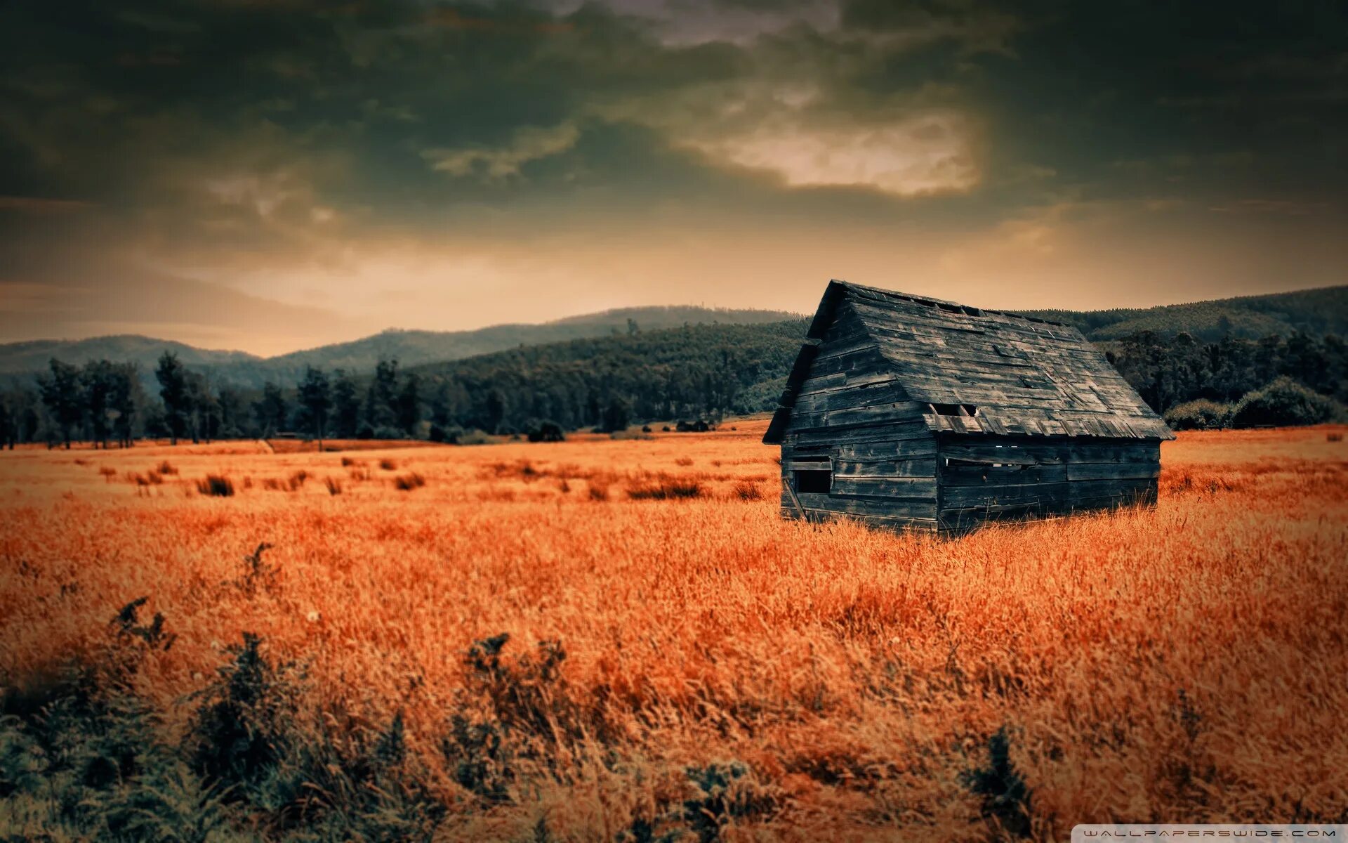 Countryside android. Одинокий дом в поле. Изба в поле. Домик в поле. Одинокий домик в поле.