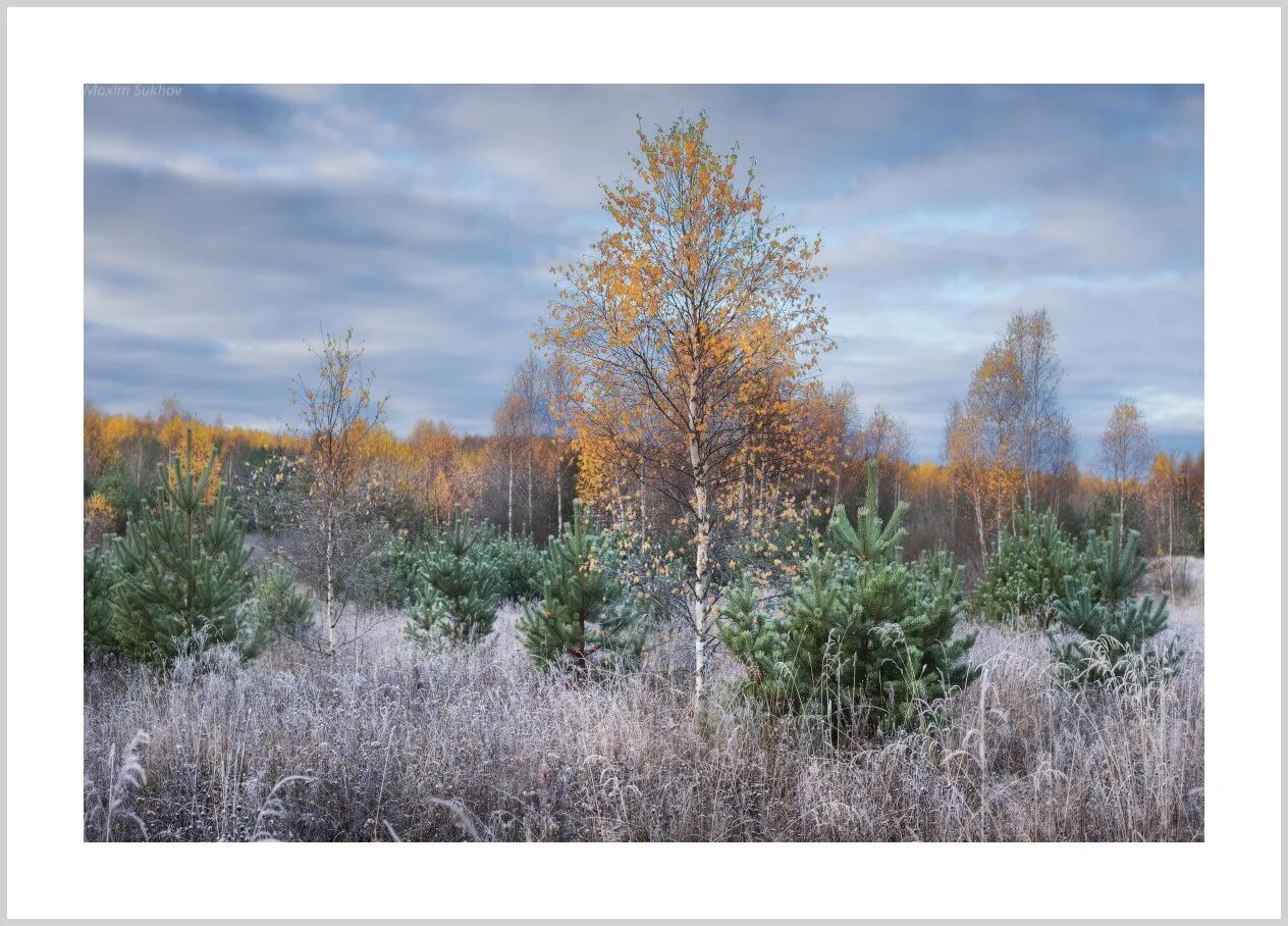 Осень заморозки. Морозное осеннее утро. Заморозки пейзаж. Поздняя осень заморозки.