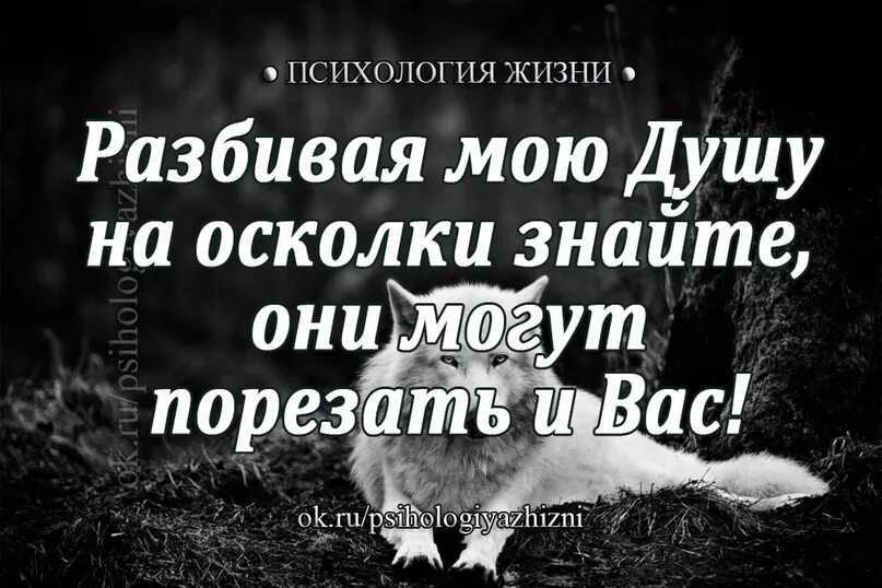 Сломал бывшей жизнь. Цитаты про сломанную душу. Статус души. Душу и сердце статус. Цитаты для разбитой души.