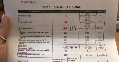 Сдать анализы иваново