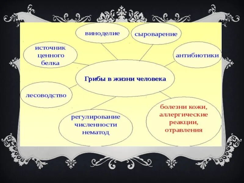 Грибы в лесу. Царство грибов классификация схема. Картофель с грибами «свой урожай». Дети собирают грибы в лесу картинки 70 лет. Мешок картошки.