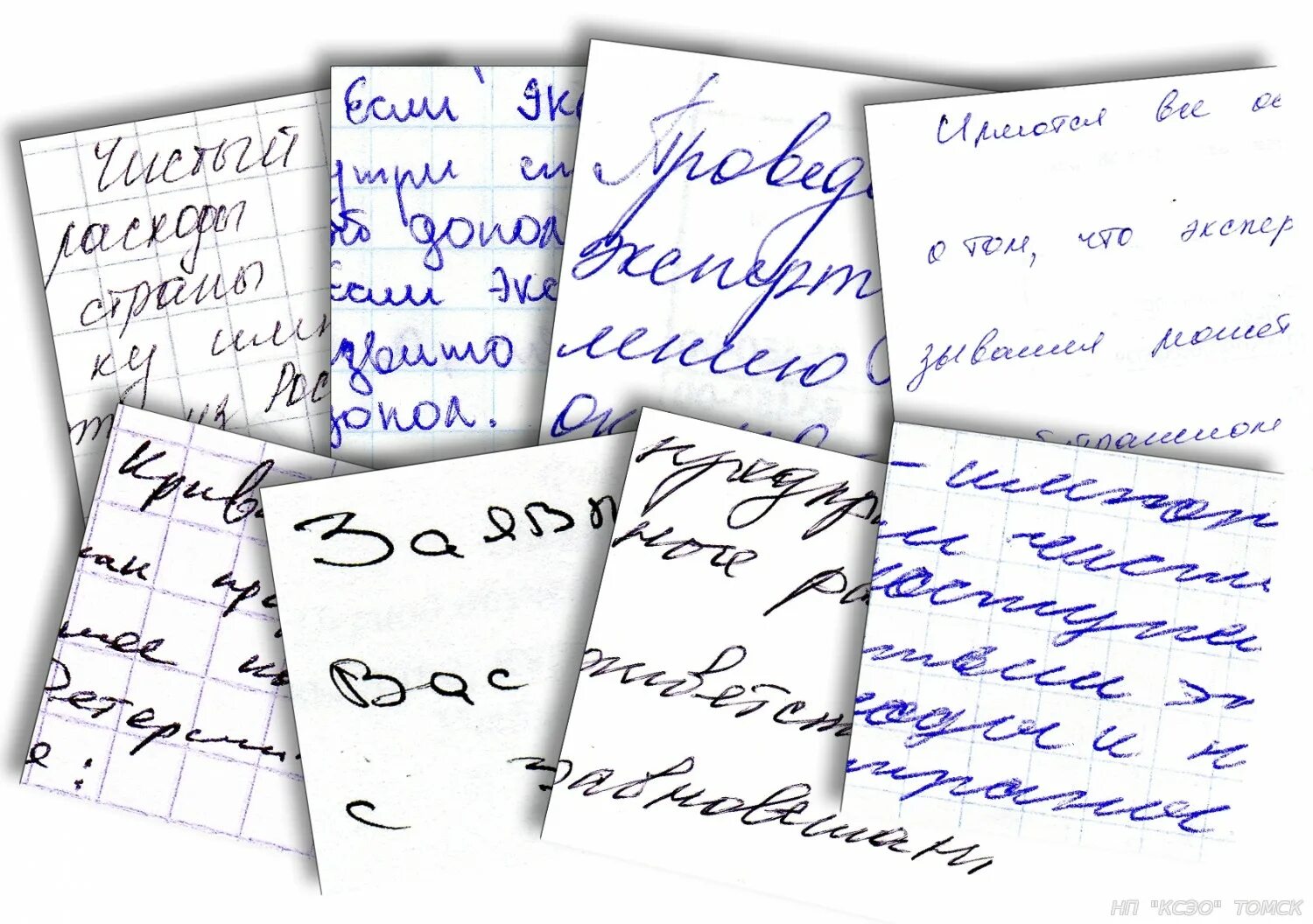 Исследование рукописных текстов. Почерковедческая экспертиза подписи. Судебно-почерковедческая экспертиза. Подпись криминалистика. Подчерковая экспертиза.