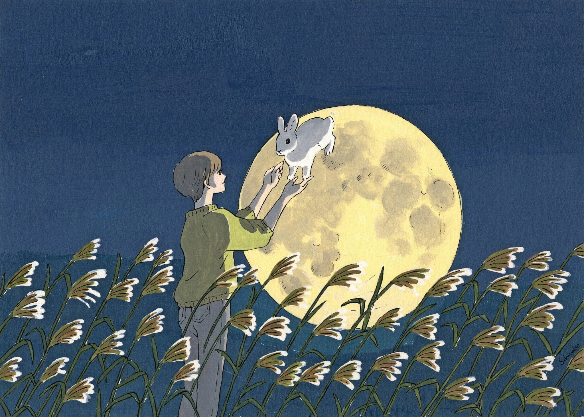 Лунный заяц. Лунный заяц у китайцев. Заяц на Луне. Кролик на Луне. Ребит холе