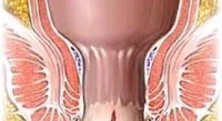 Сығандар порно онлайн көру