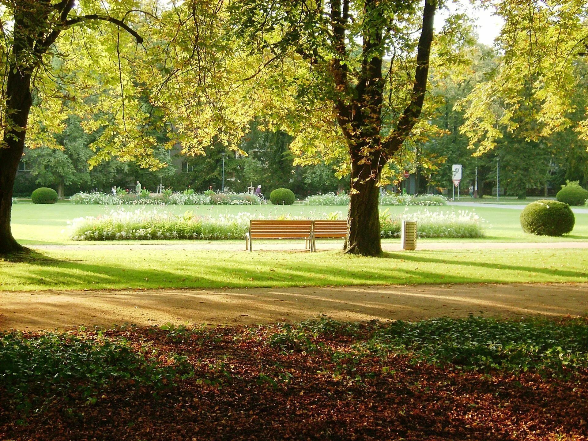Background park