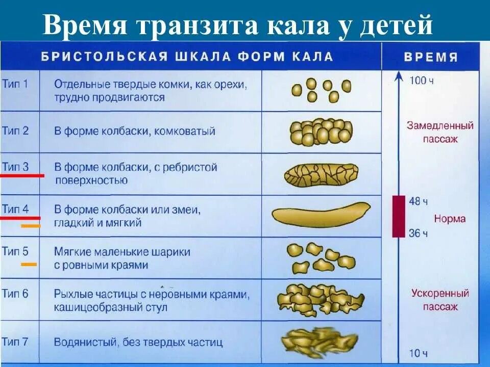 Каким должен быть стул у взрослого. Норма кала у ребенка в 2 года. Нормальный кал. Бристольская шкала формы кала. Нормальный стул у взрослого.