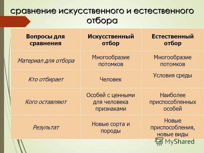 Искусственный отбор и естественный отбор сравнение. Сходства искусственного отбора. Отбирающий фактор искусственного отбора. Сравнение искусственного и естественного отбора таблица 11 класс. Сходства искусственного отбора.