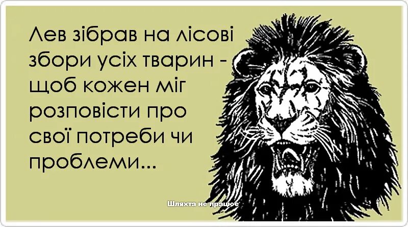 Будешь сильным и большим будешь королем. Анекдоты про Львов. Анекдот про Льва и быка. Высказывания про знак зодиака Лев. Смешные анекдоты про Лев.