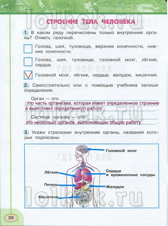 Окружающий мир 3 класс тетрадь тесты