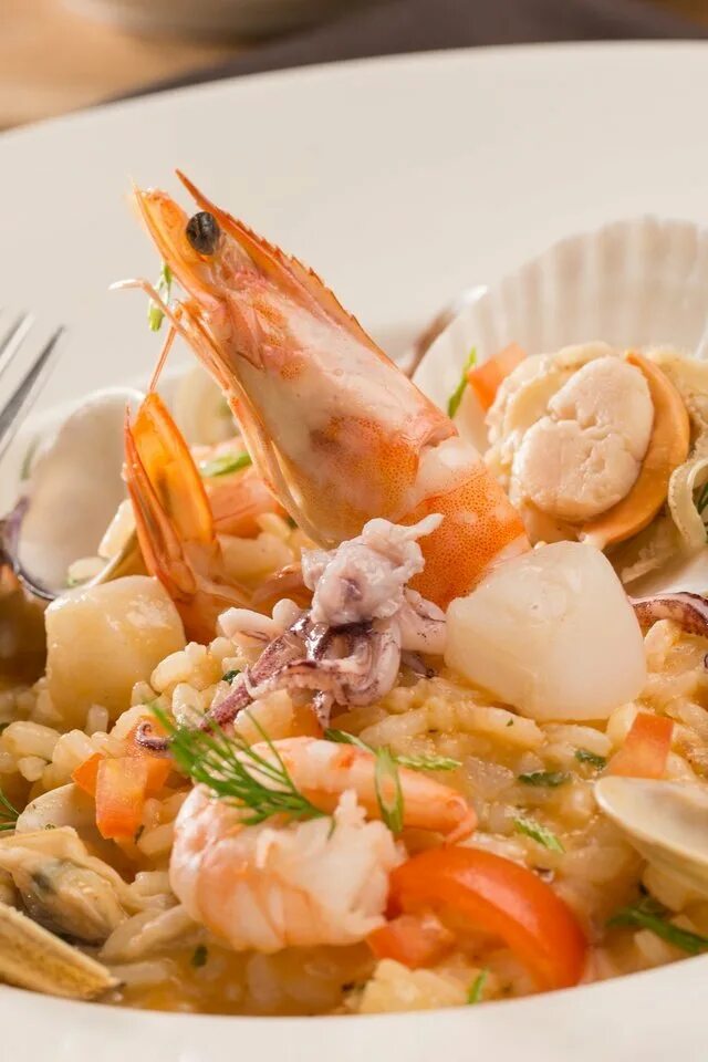 Морепродукты креветки мидии. Ракушка креветки. Ракушка креветки. Мидия гребешок устрица кальмар. Ракушка креветки.