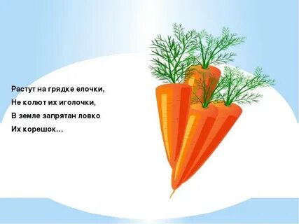 Загадка овощи одним словом